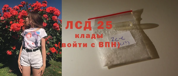 шишки Медногорск