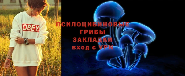 ПСИЛОЦИБИНОВЫЕ ГРИБЫ Михайлов