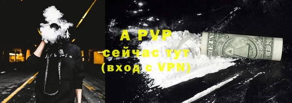 ALPHA PVP Гусев