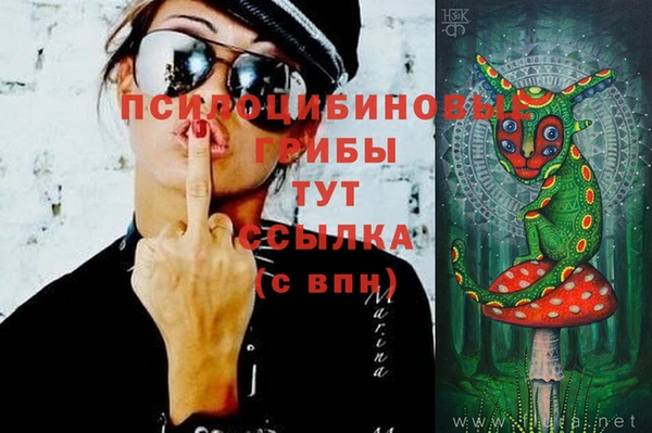 ешки Медвежьегорск