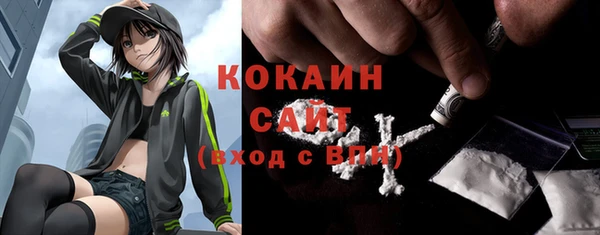 ПСИЛОЦИБИНОВЫЕ ГРИБЫ Михайлов