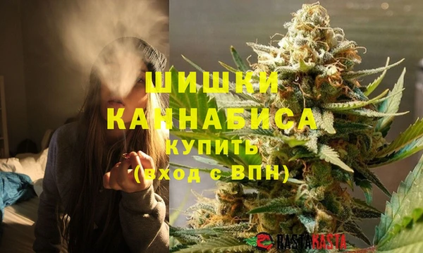 шишки Медногорск