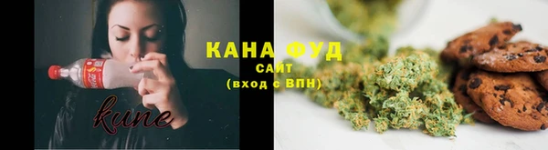 ПСИЛОЦИБИНОВЫЕ ГРИБЫ Михайлов