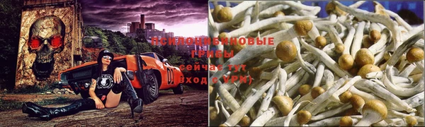 каннабис Михайловка