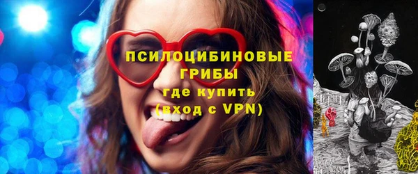 соль ск Михайловск