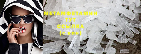 шишки Медногорск