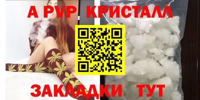 соль ск Кингисепп